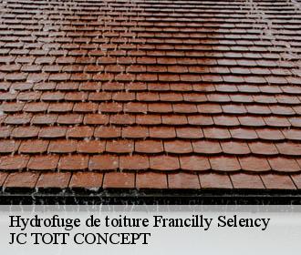 Hydrofuge de toiture  francilly-selency-02760 JC TOIT CONCEPT