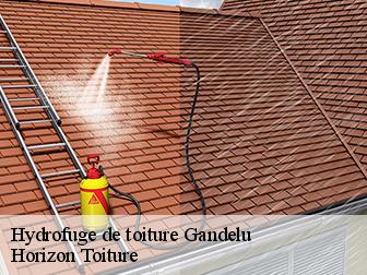Hydrofuge de toiture 02810