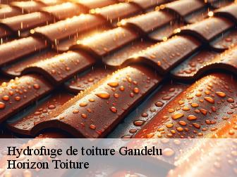 Hydrofuge de toiture gandelu-02810 Horizon Toiture