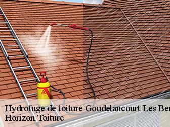Hydrofuge de toiture 02820