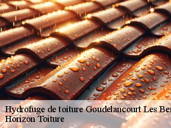 Hydrofuge de toiture goudelancourt-les-berrieux-02820 Horizon Toiture