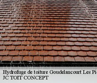 Hydrofuge de toiture  goudelancourt-les-pierrepont-02350 JC TOIT CONCEPT