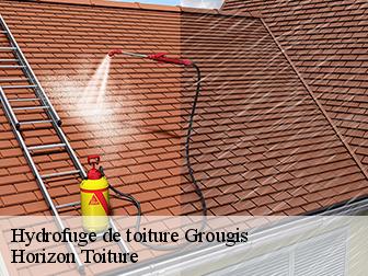 Hydrofuge de toiture 02110