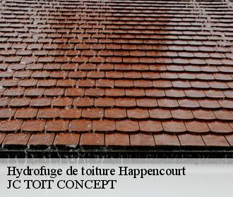 Hydrofuge de toiture  happencourt-02480 JC TOIT CONCEPT