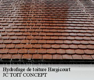 Hydrofuge de toiture  hargicourt-02420 JC TOIT CONCEPT