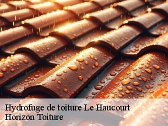 Hydrofuge de toiture le-haucourt-02420 Horizon Toiture