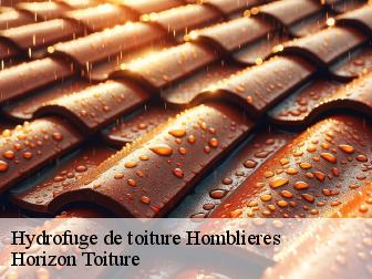 Hydrofuge de toiture homblieres-02720 Horizon Toiture