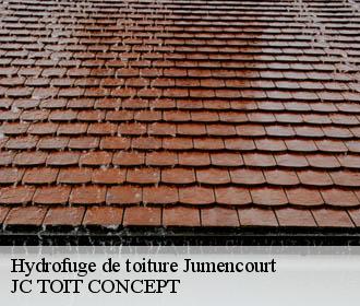 Hydrofuge de toiture  jumencourt-02380 JC TOIT CONCEPT