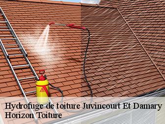 Hydrofuge de toiture 02190