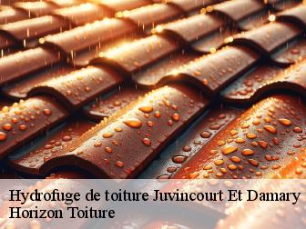 Hydrofuge de toiture juvincourt-et-damary-02190 Horizon Toiture