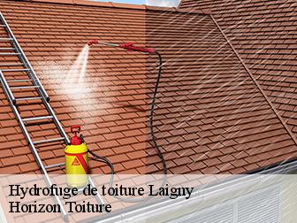 Hydrofuge de toiture 02140
