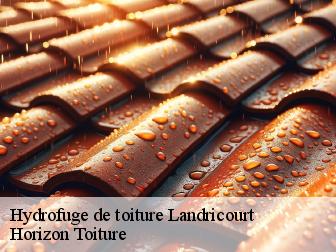 Hydrofuge de toiture landricourt-02380 Horizon Toiture