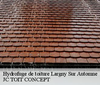 Hydrofuge de toiture  largny-sur-automne-02600 JC TOIT CONCEPT