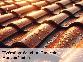 Hydrofuge de toiture laversine-02600 Horizon Toiture