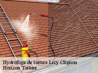 Hydrofuge de toiture 02810