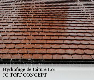 Hydrofuge de toiture  lor-02190 JC TOIT CONCEPT