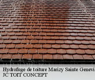 Hydrofuge de toiture  marizy-sainte-genevieve-02470 JC TOIT CONCEPT