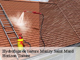 Hydrofuge de toiture 02470
