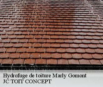 Hydrofuge de toiture  marly-gomont-02120 JC TOIT CONCEPT