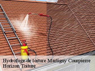 Hydrofuge de toiture 02860