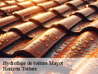 Hydrofuge de toiture mayot-02800 Horizon Toiture