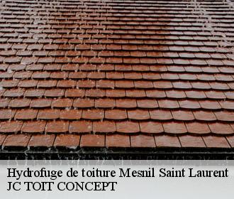 Hydrofuge de toiture  mesnil-saint-laurent-02720 JC TOIT CONCEPT