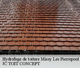 Hydrofuge de toiture  missy-les-pierrepont-02350 JC TOIT CONCEPT