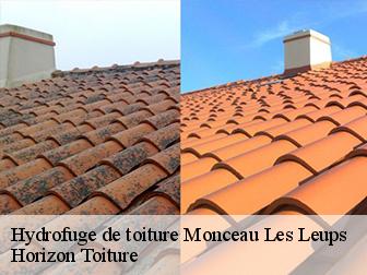 Hydrofuge de toiture