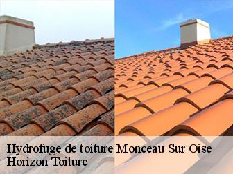 Hydrofuge de toiture