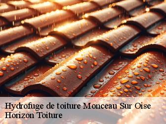 Hydrofuge de toiture monceau-sur-oise-02120 Horizon Toiture