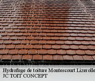 Hydrofuge de toiture  montescourt-lizerolles-02440 JC TOIT CONCEPT