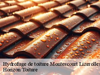 Hydrofuge de toiture montescourt-lizerolles-02440 Horizon Toiture