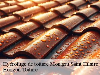 Hydrofuge de toiture montgru-saint-hilaire-02210 Horizon Toiture
