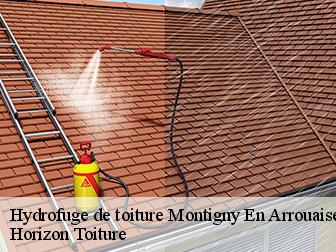 Hydrofuge de toiture 02110