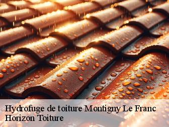 Hydrofuge de toiture montigny-le-franc-02250 Horizon Toiture