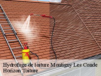 Hydrofuge de toiture 02330