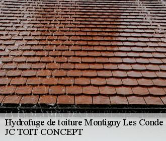 Hydrofuge de toiture  montigny-les-conde-02330 JC TOIT CONCEPT