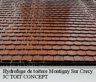 Hydrofuge de toiture  montigny-sur-crecy-02270 JC TOIT CONCEPT