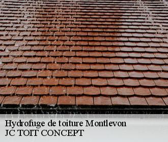 Hydrofuge de toiture  montlevon-02330 JC TOIT CONCEPT