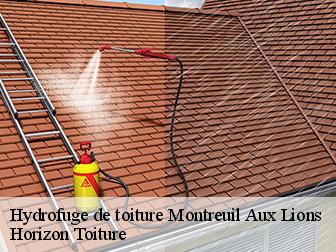 Hydrofuge de toiture 02310