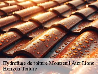 Hydrofuge de toiture montreuil-aux-lions-02310 Horizon Toiture