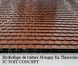 Hydrofuge de toiture  morgny-en-thierache-02360 JC TOIT CONCEPT