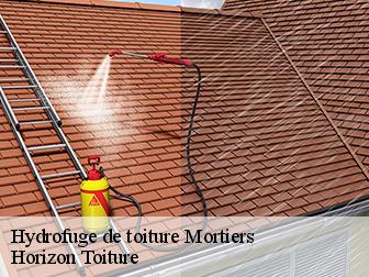 Hydrofuge de toiture 02270
