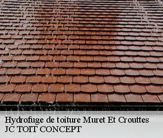 Hydrofuge de toiture  muret-et-crouttes-02210 JC TOIT CONCEPT