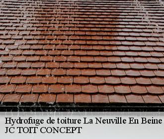 Hydrofuge de toiture  la-neuville-en-beine-02300 JC TOIT CONCEPT