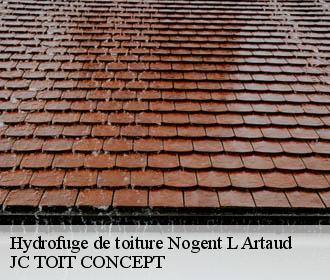 Hydrofuge de toiture  nogent-l-artaud-02310 JC TOIT CONCEPT