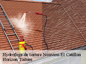 Hydrofuge de toiture 02270