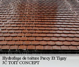 Hydrofuge de toiture  parcy-et-tigny-02210 JC TOIT CONCEPT