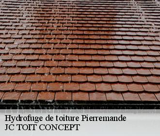 Hydrofuge de toiture  pierremande-02300 JC TOIT CONCEPT