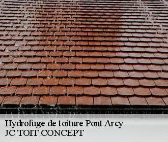 Hydrofuge de toiture  pont-arcy-02160 JC TOIT CONCEPT